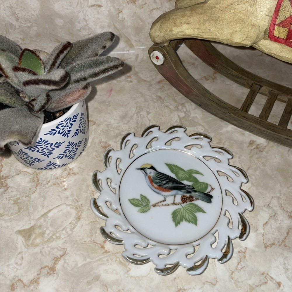 Vintage Porcelain Reticulated Hand Painted Bird Plate Wall Hanging 5.25" PERFECT